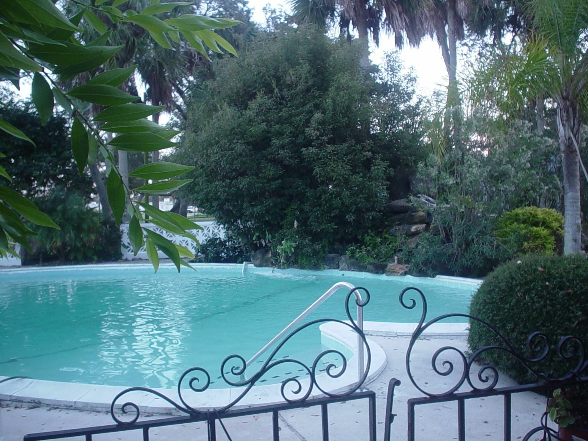 The River Lily Daytona Beach Faciliteter billede